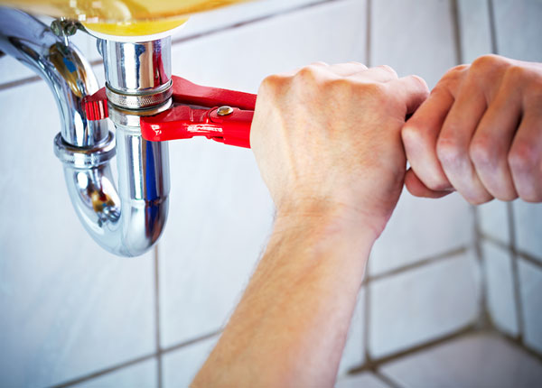 About Dogue Plumbers